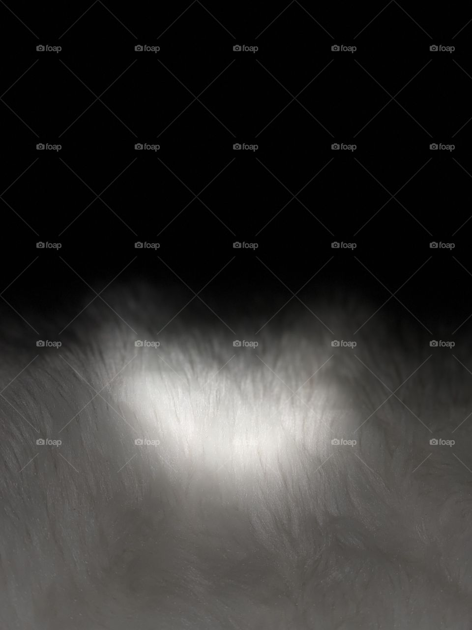 A piece of very soft Fur 