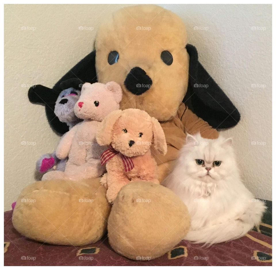 Real or Not?!?!
That is the question.