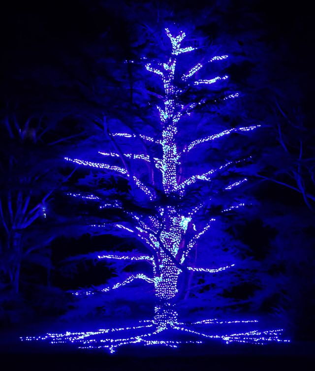 Blue Christmas