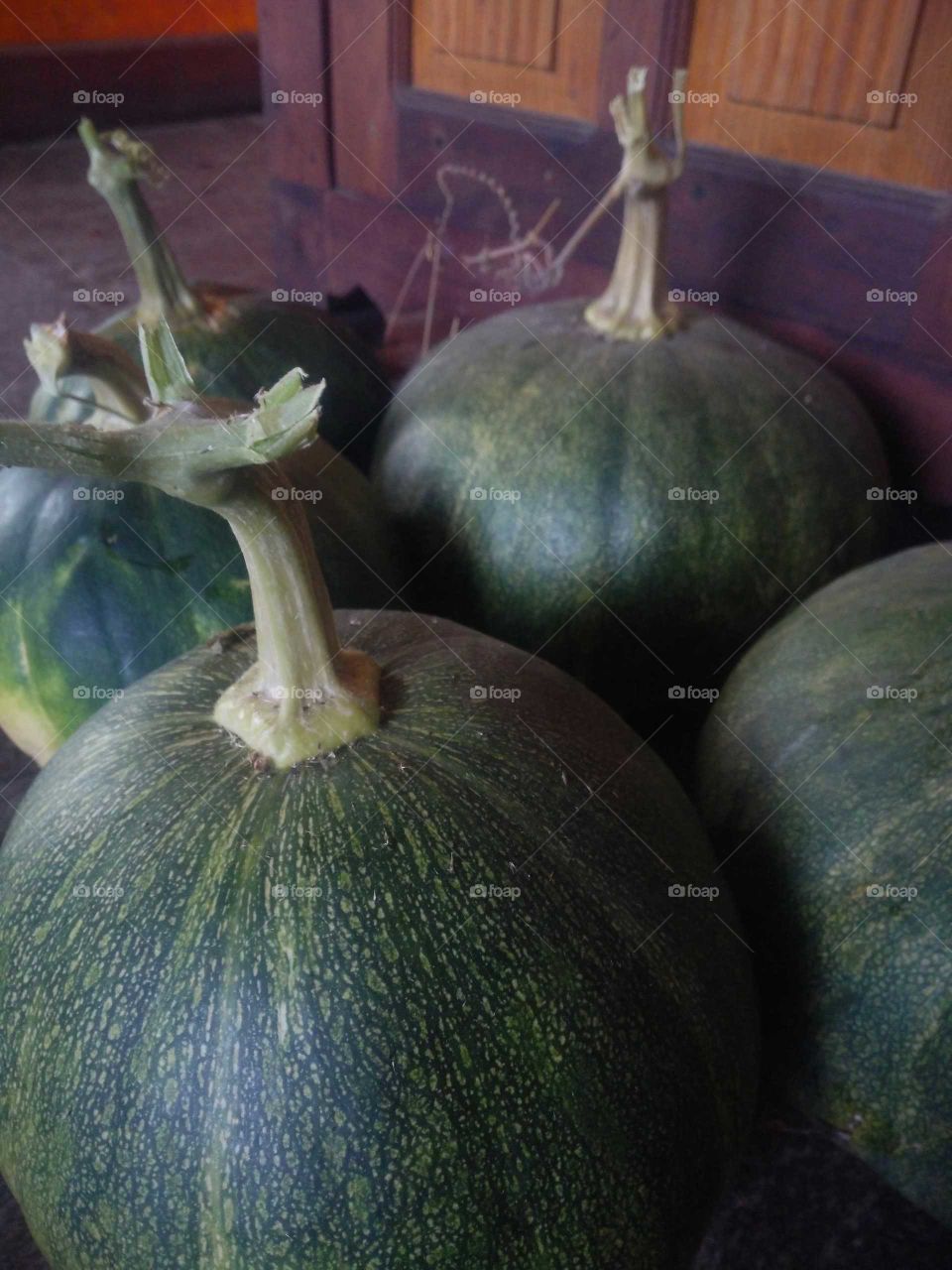 pumpkin harvest