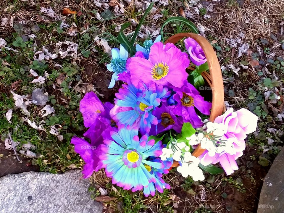 Share your Spring with NIVEA