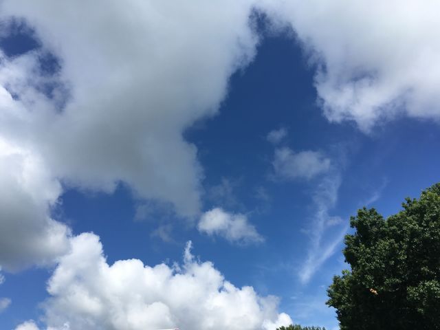 Just shot this at the senior center in my home town, puffs of clouds grayish in colt.