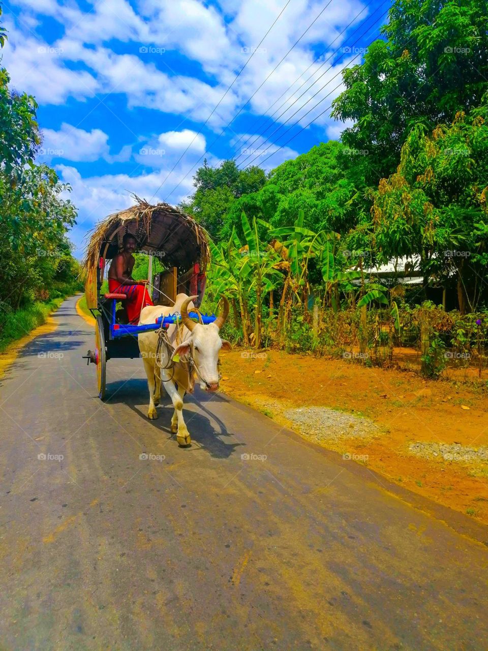 The beauty of Sri Lanka