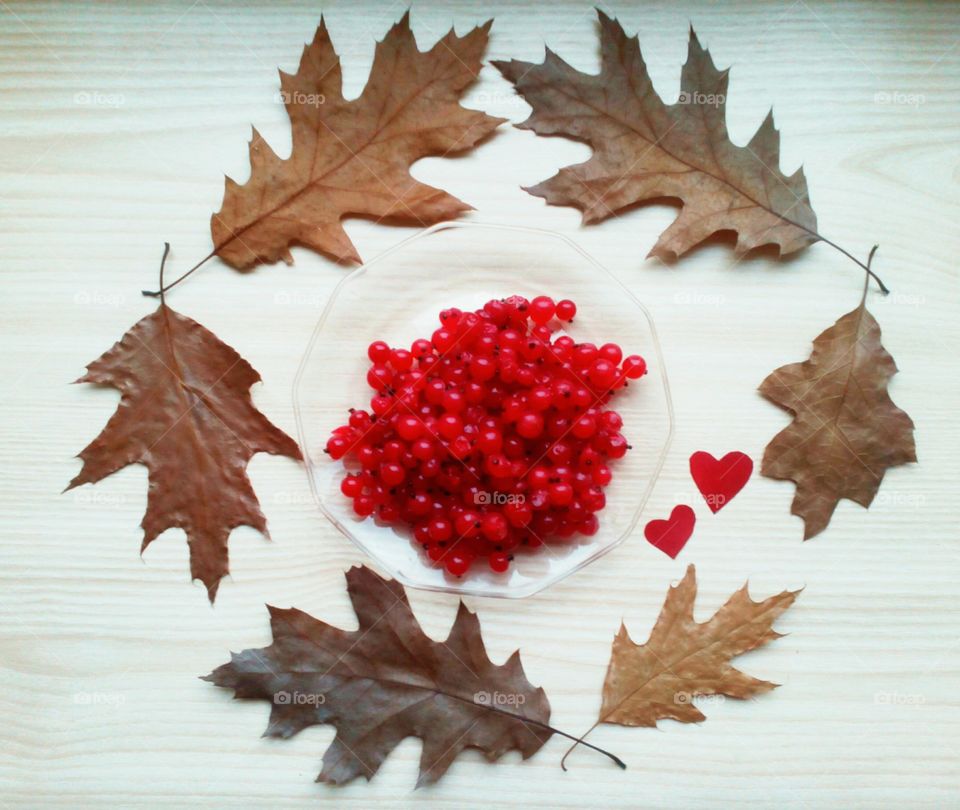 Fall, Leaf, Maple, No Person, Wood