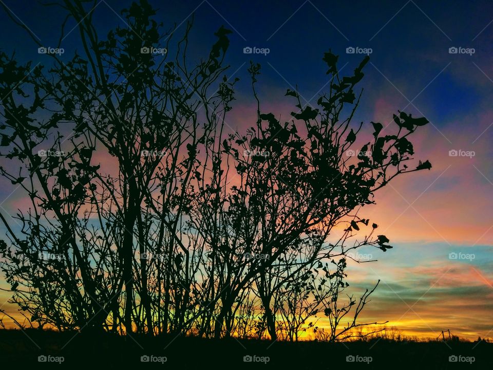 Colors peaking through