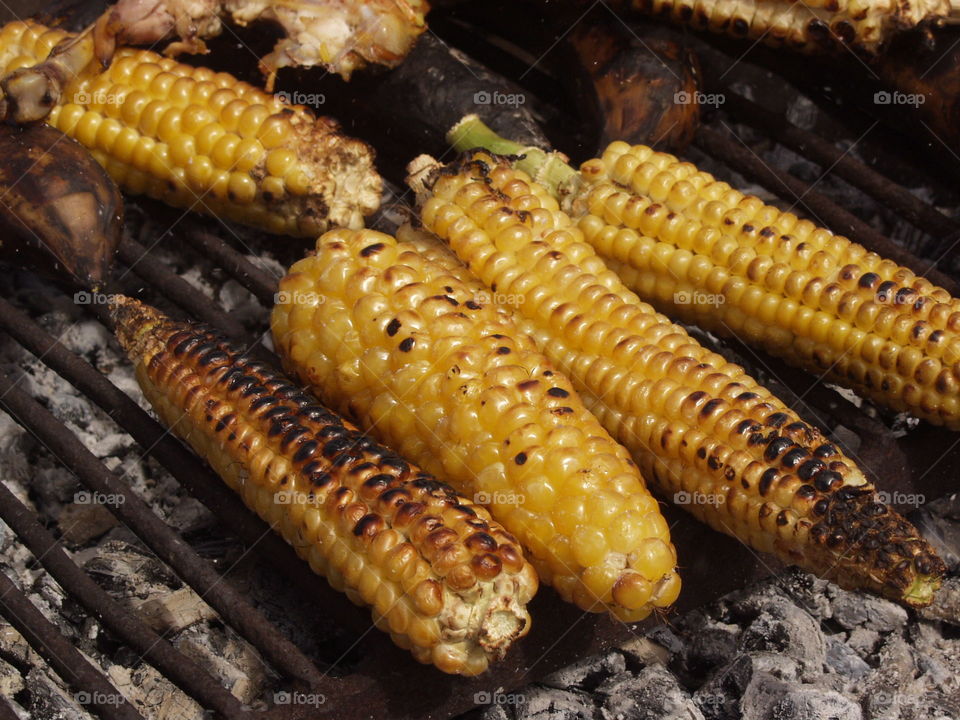 corn cob grilled .