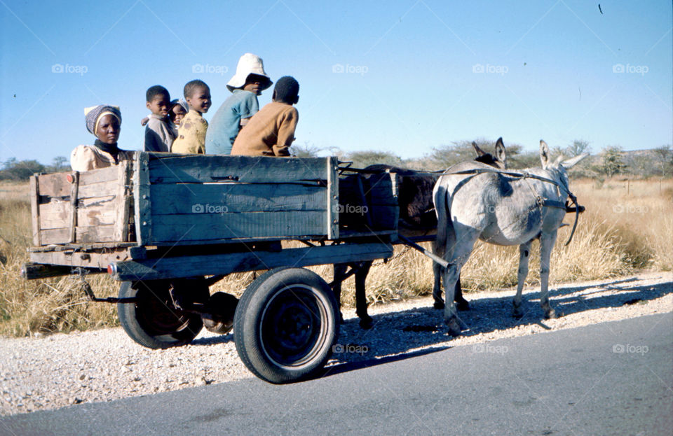 namibia children donkey cart by kenglund