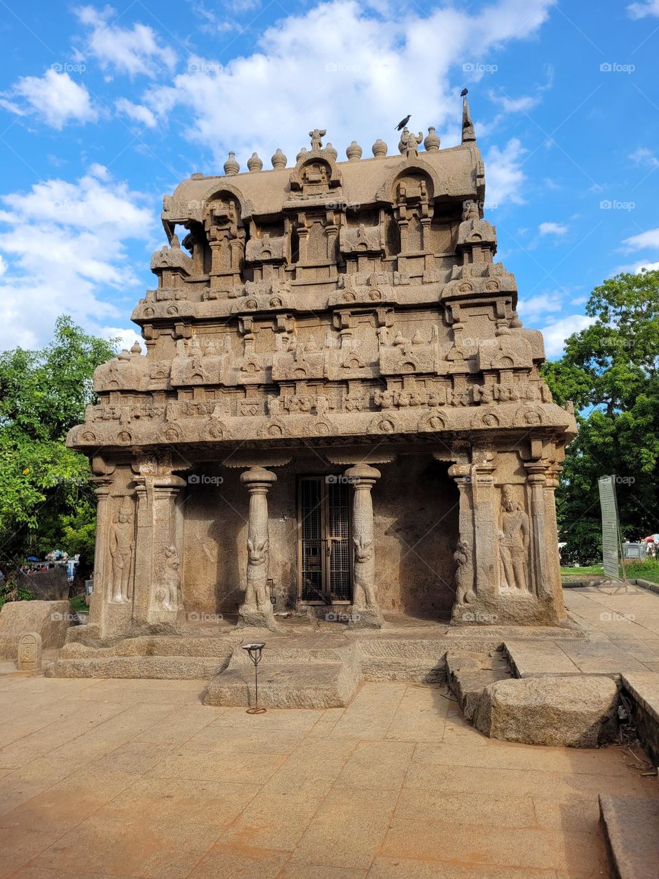 Indian Temper image Photo