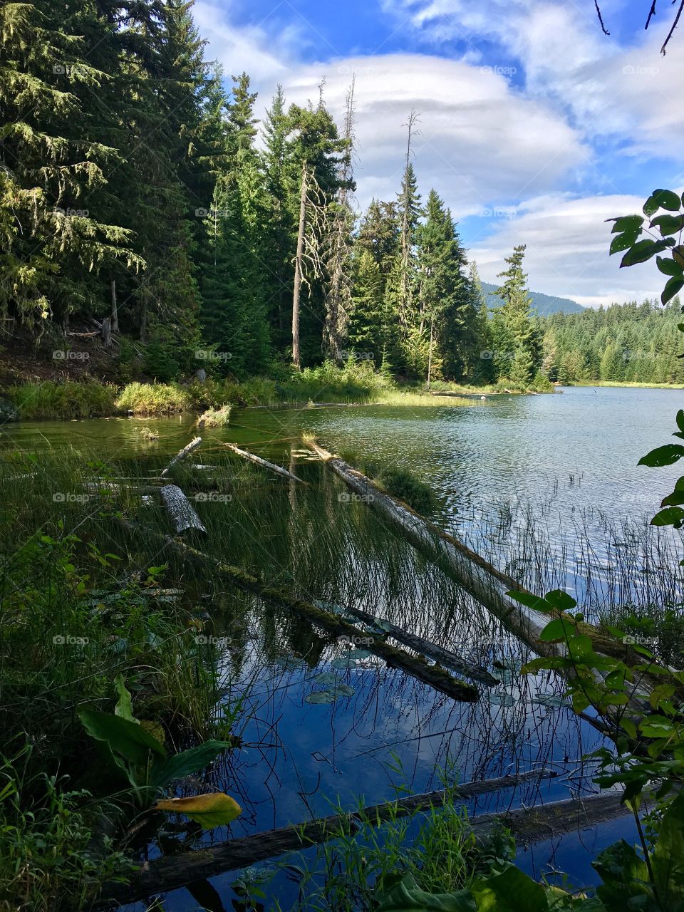 Lost Lake, Whistler, BC