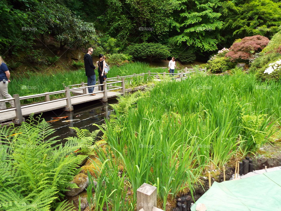 Japanese gardens in Portland
