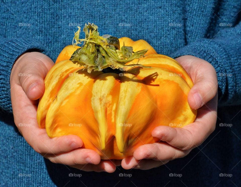 Hands holding pumpkin