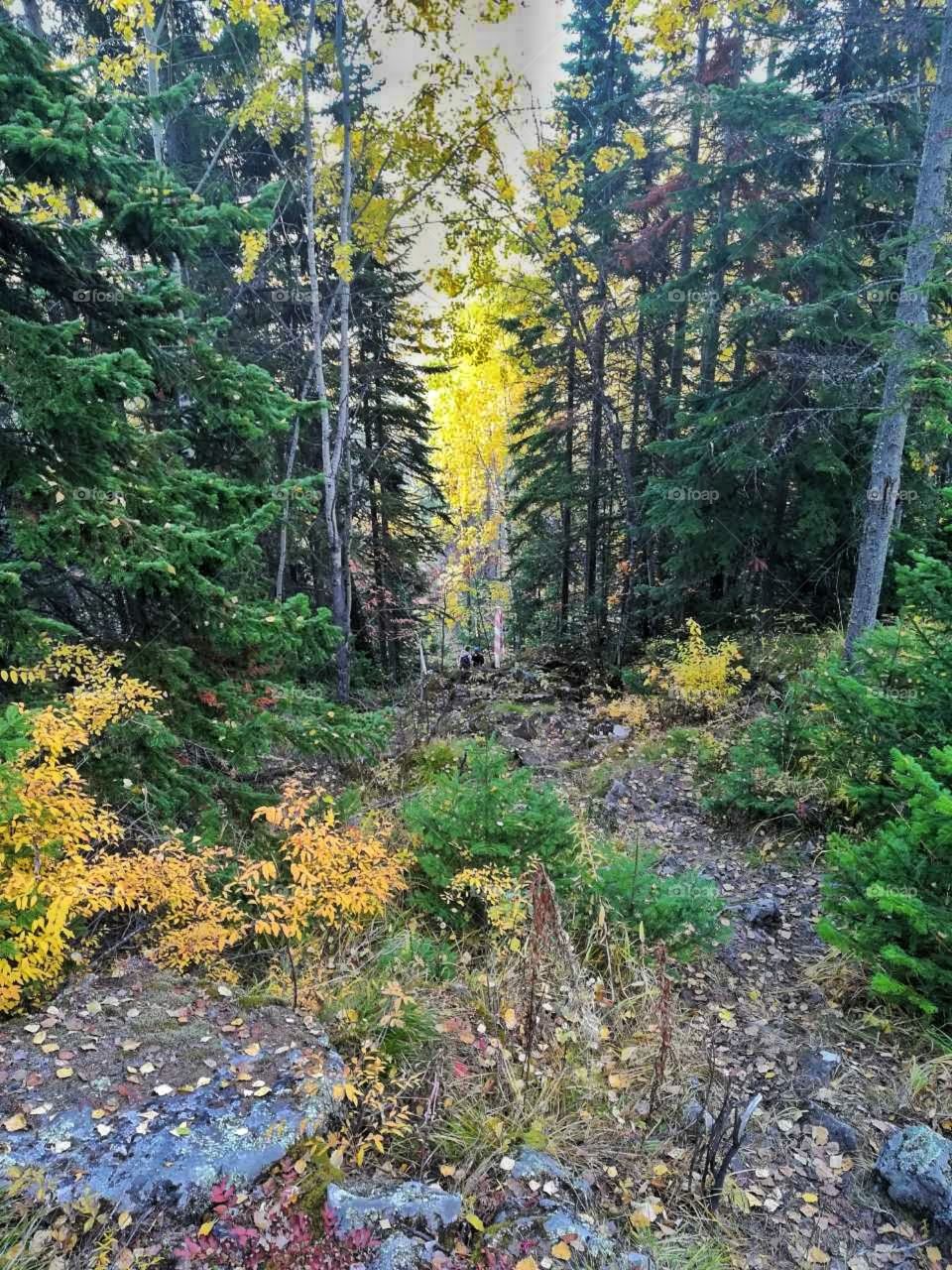 горная тропа  ранней осенью