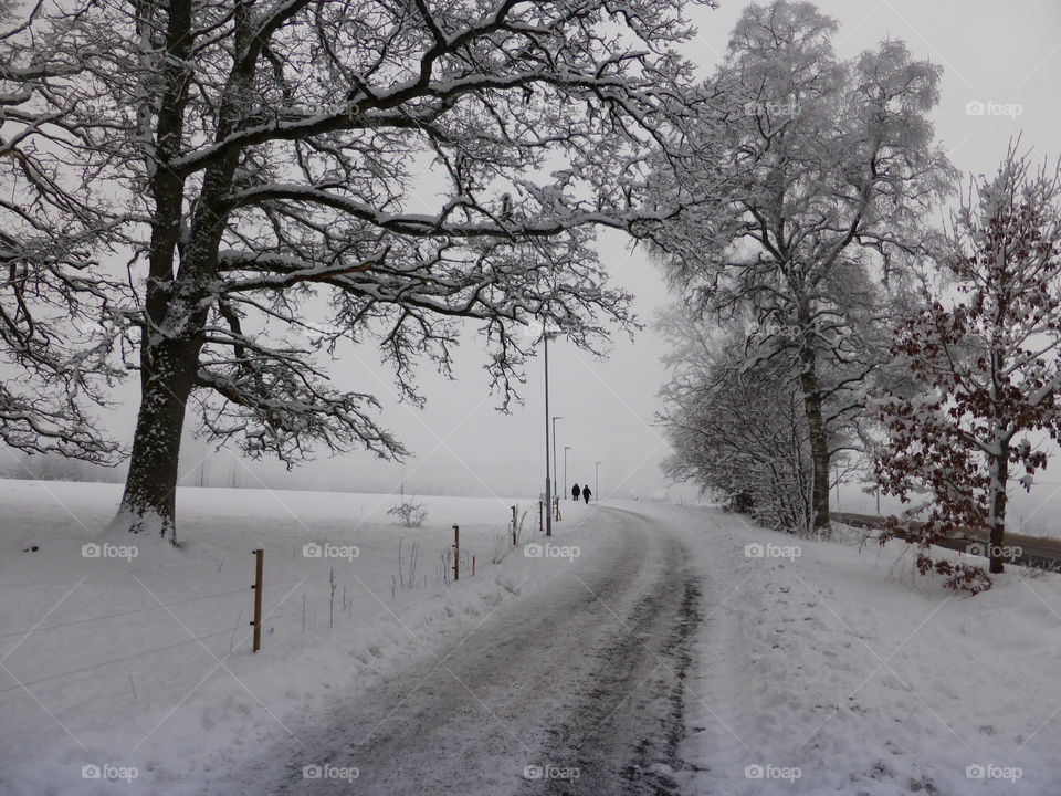 Walkway in a winter landscape