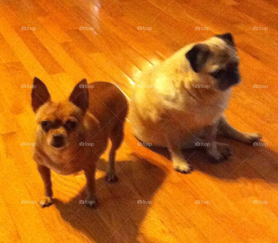 Hon but not forgotten 