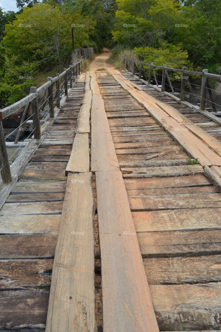 wood bridge