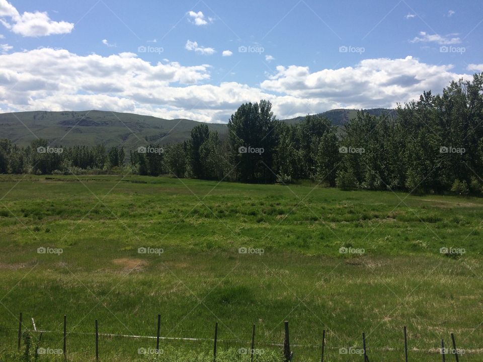 Beautiful scenic nature hike 