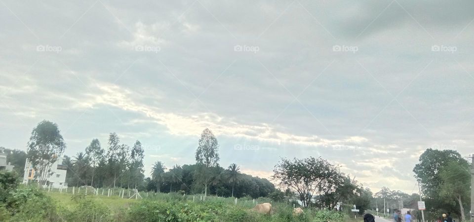 The shades of sky view 💞