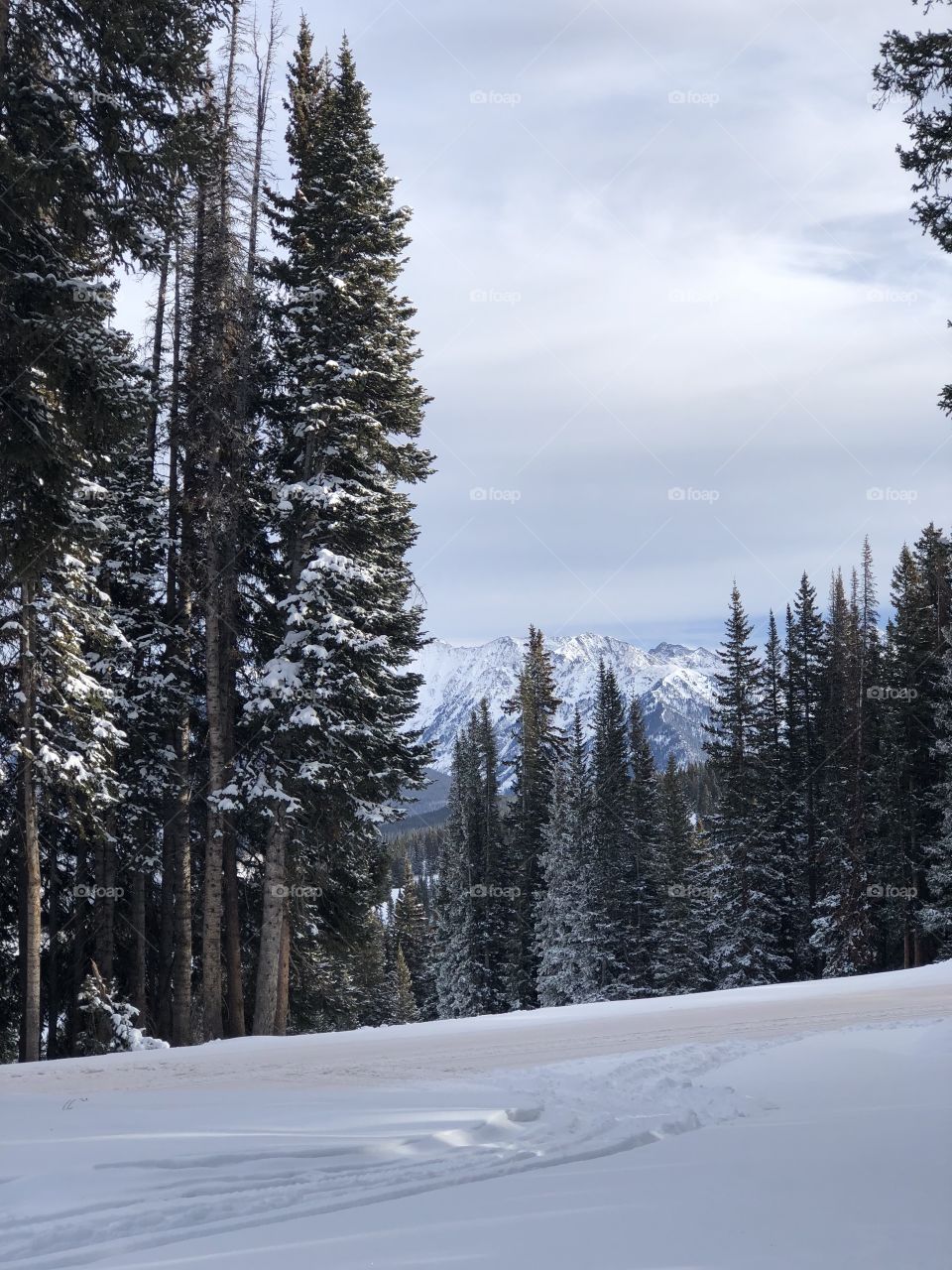 Beautiful Scenery in Snow Vail, Colorado 