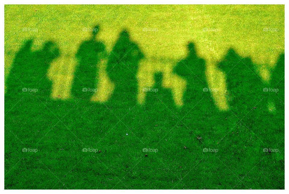 shadows of people on a green lawn