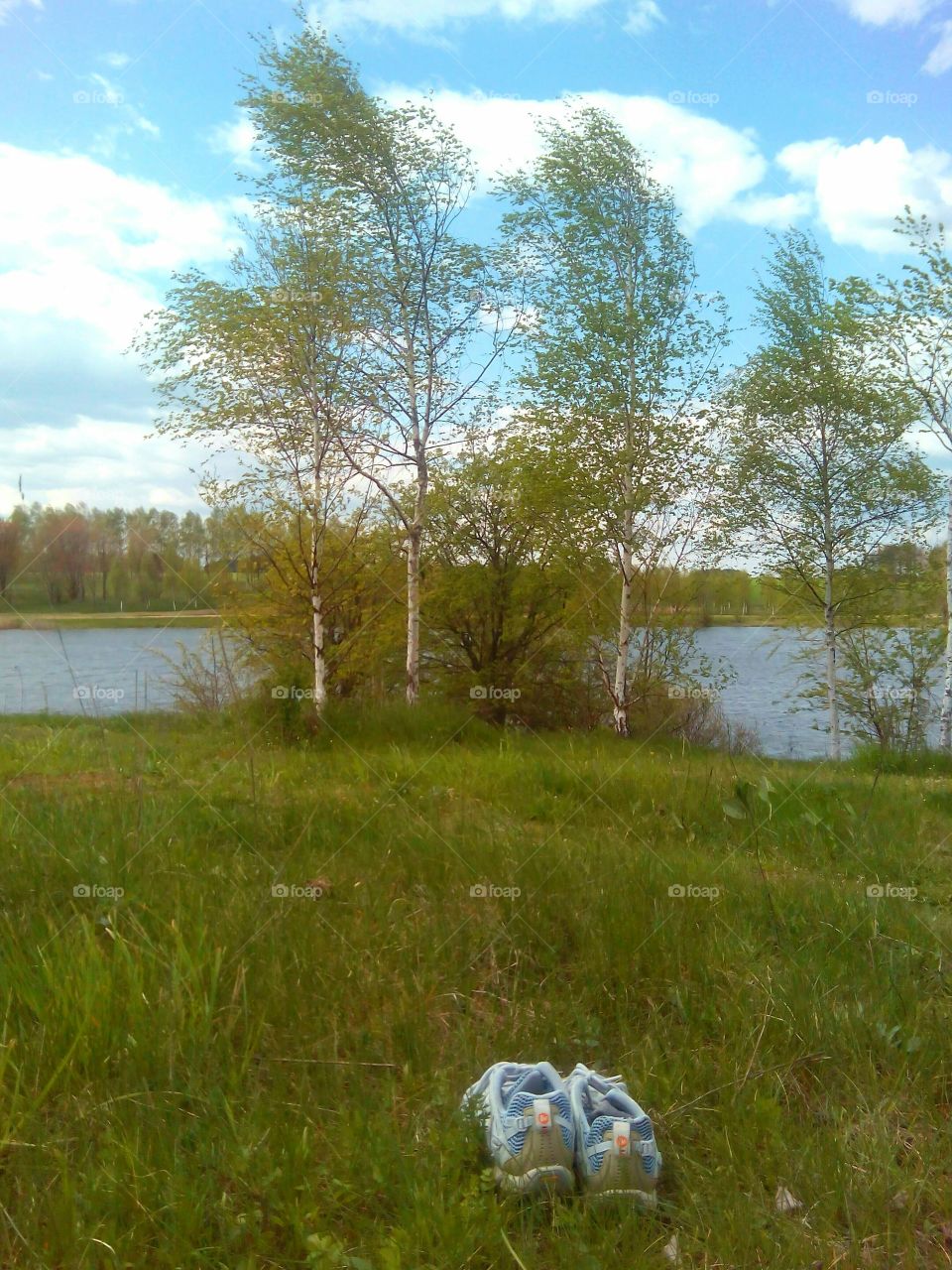 spring landscape resting in nature