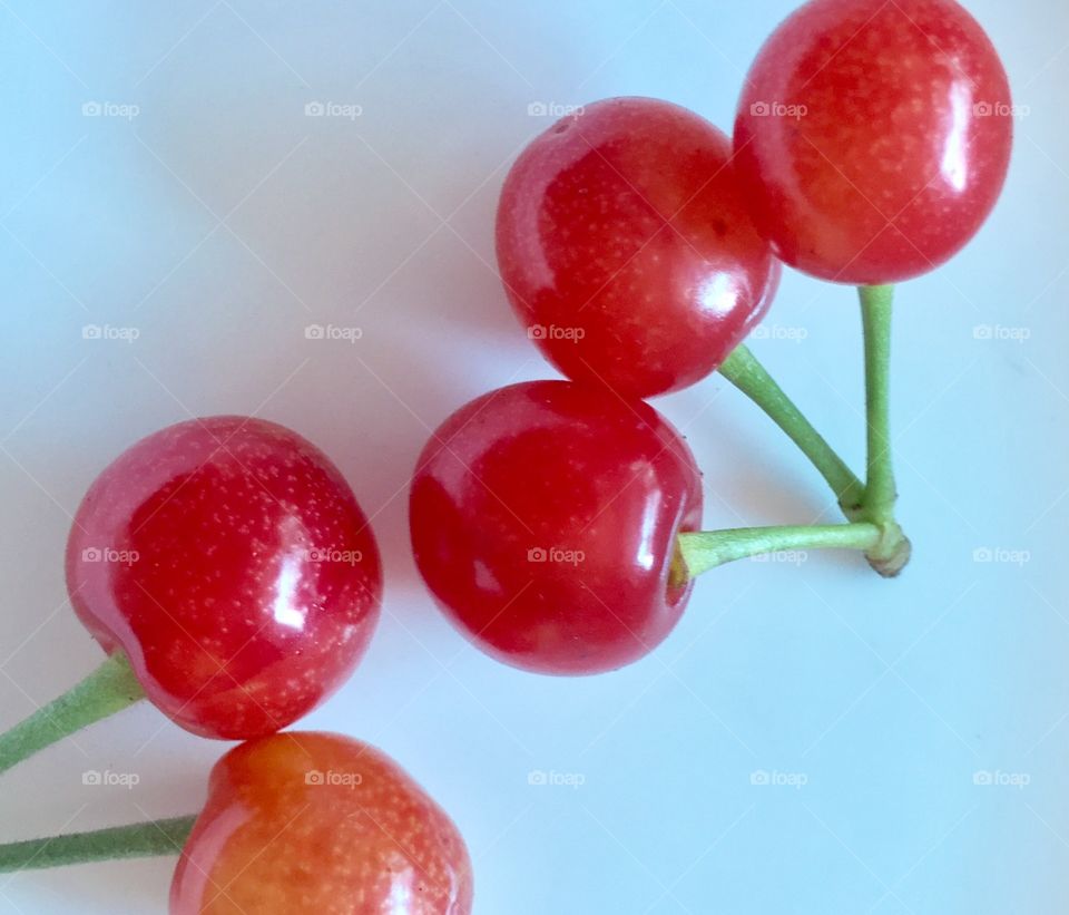 Cherry 