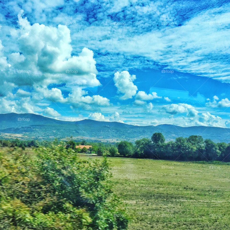 Tuscany Field