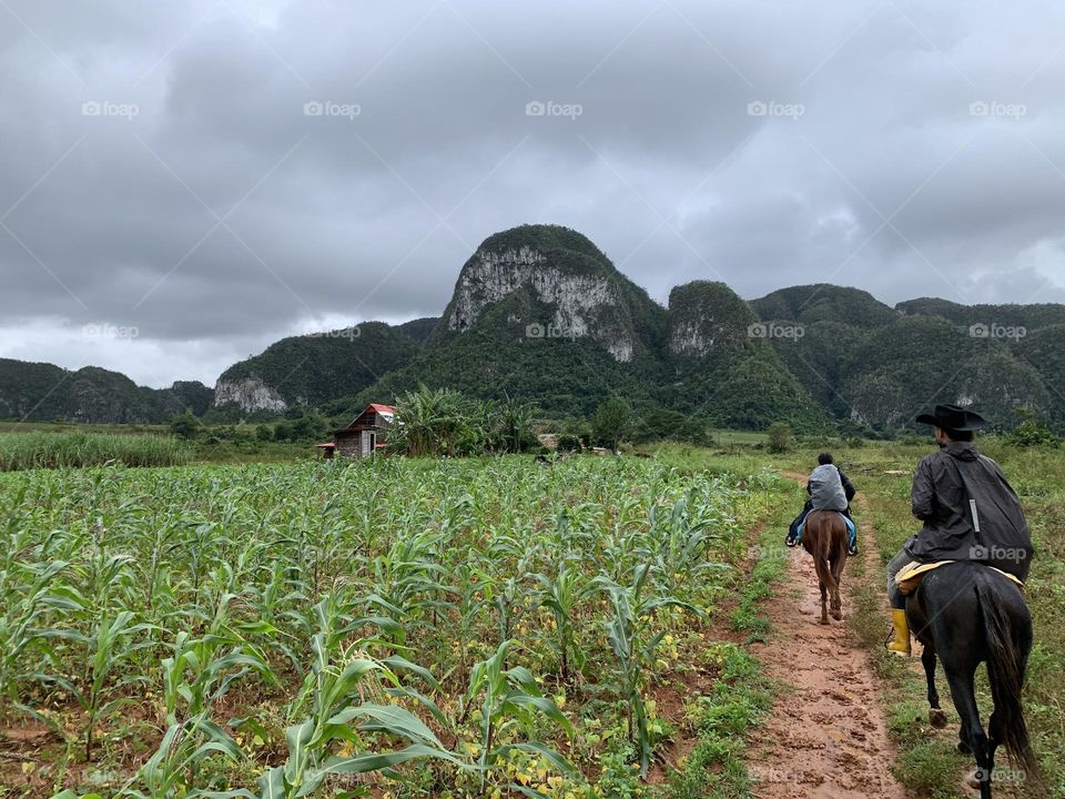 Horse riding in Viñales valley 