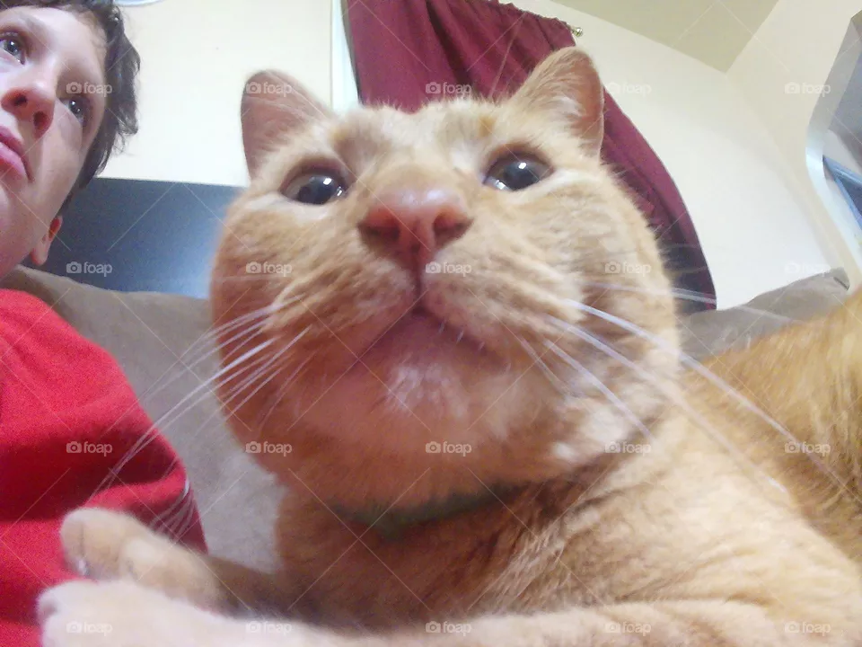 leo