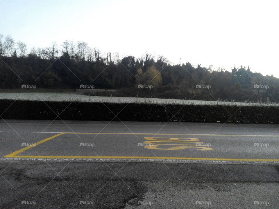 Road, Landscape, Asphalt, Tree, Auto Racing