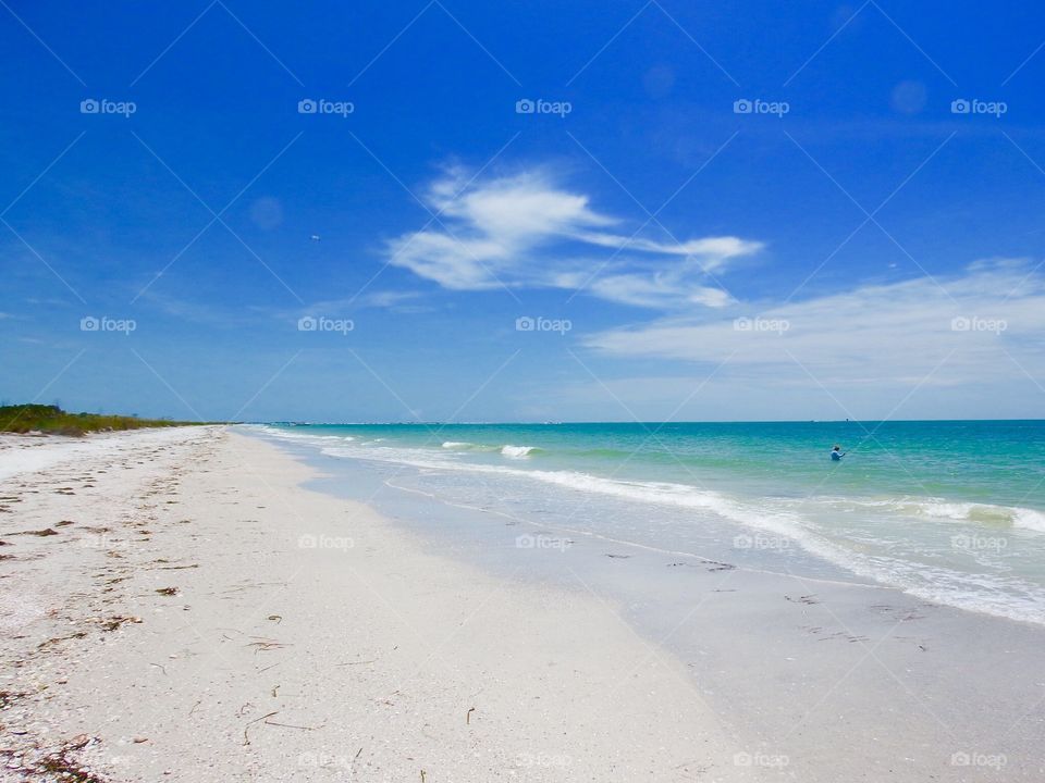 Shell key island 