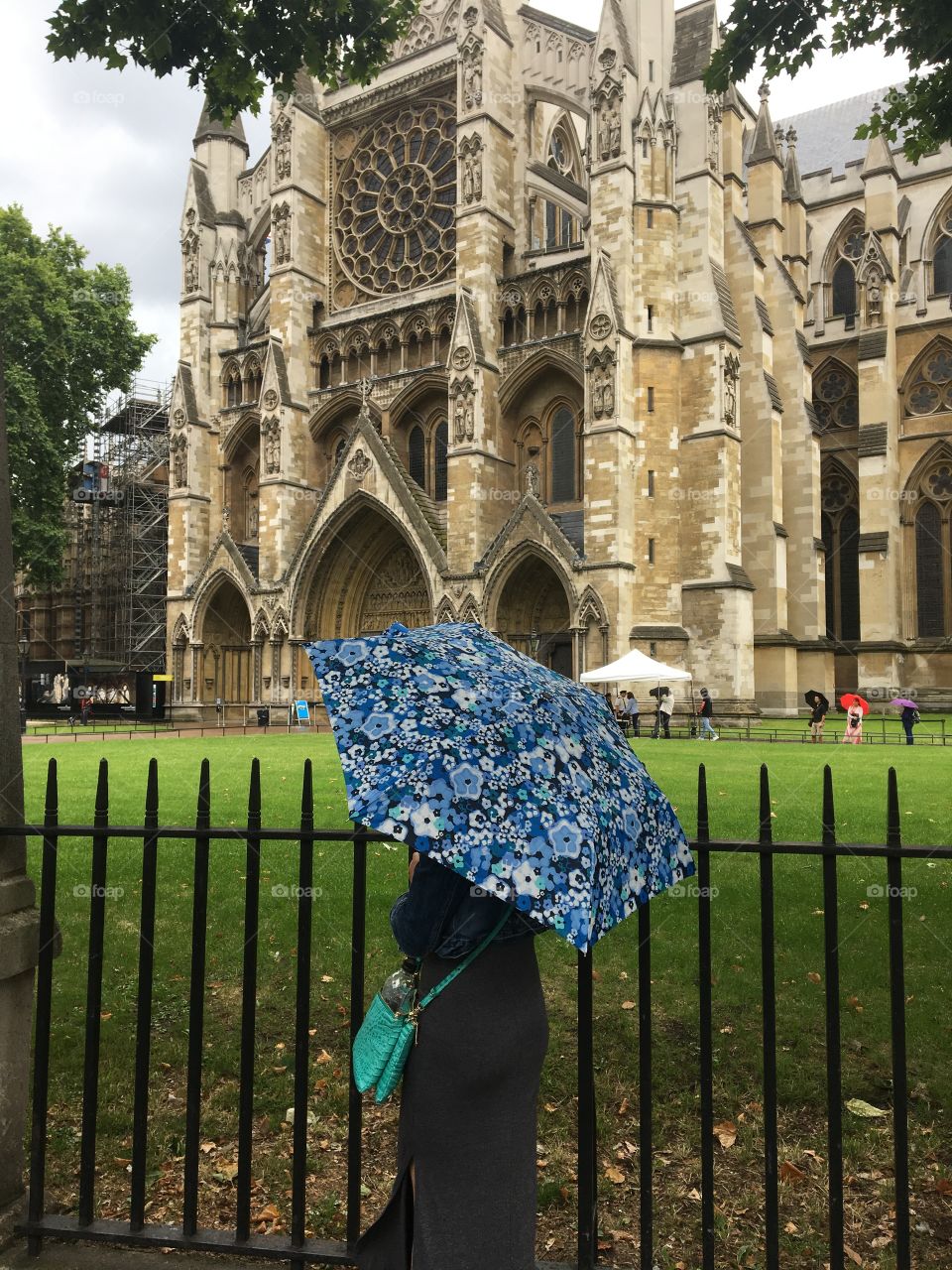 A woman with a bright blue umbrella walking past Westminster abbey in London on a rainy day
