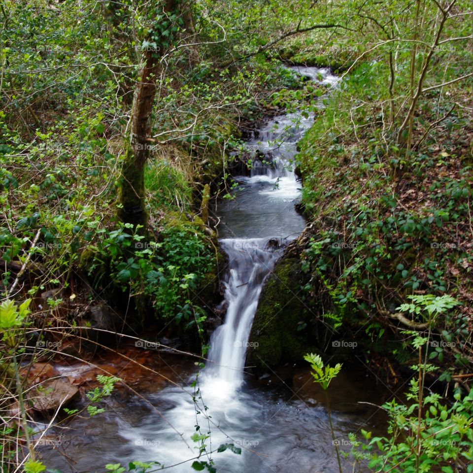 Dartmoor stream