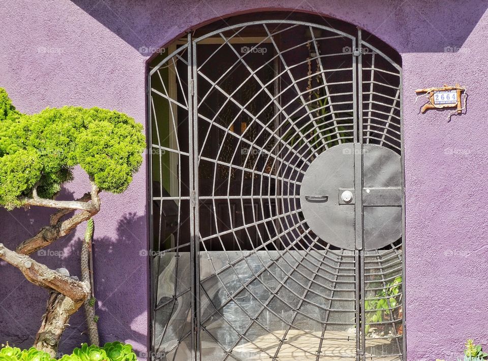 Quirky Doorway. Spiderweb Iron Gate
