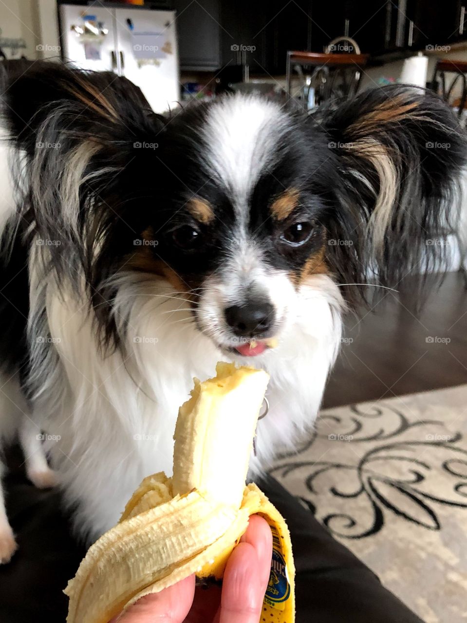 My Banana
