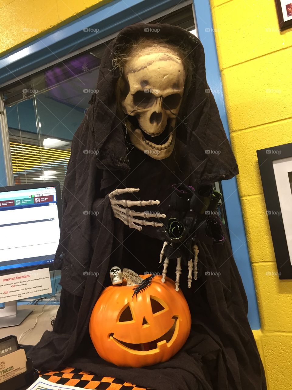 Scary skeleton and jack-o’-lantern display for Halloween