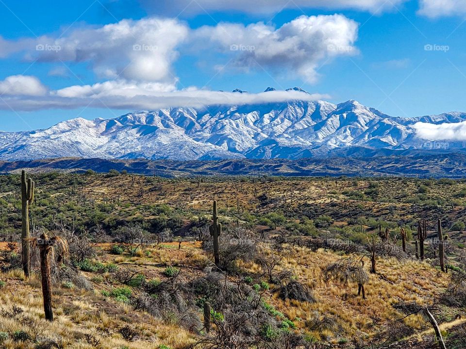 A rare snowstorm coats the mountains in the Arizona desert
