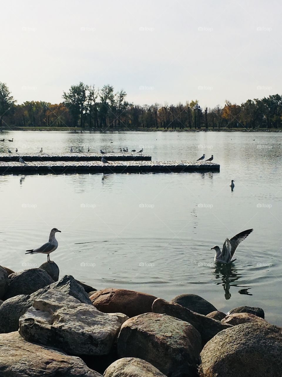 Calm walk around the lake 