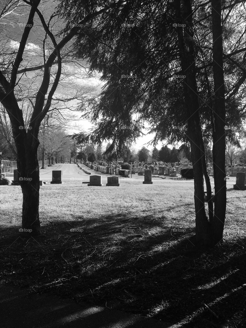 Black and white cemetery 