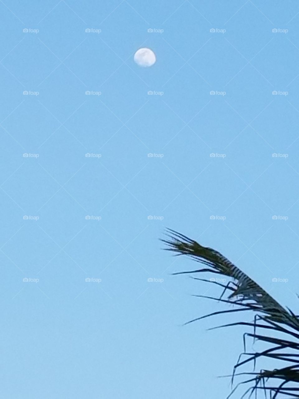 moon over Puerto Rico