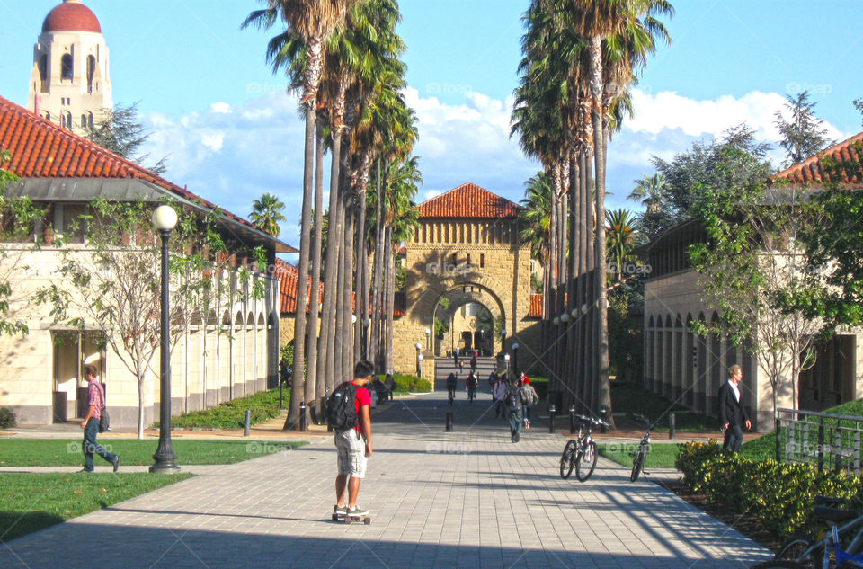 Stanford. Skateboarder on the Stanford campus