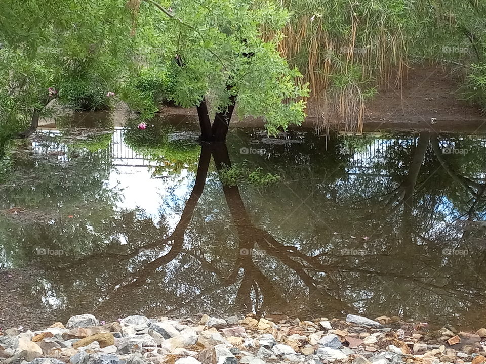 beauty after the storm