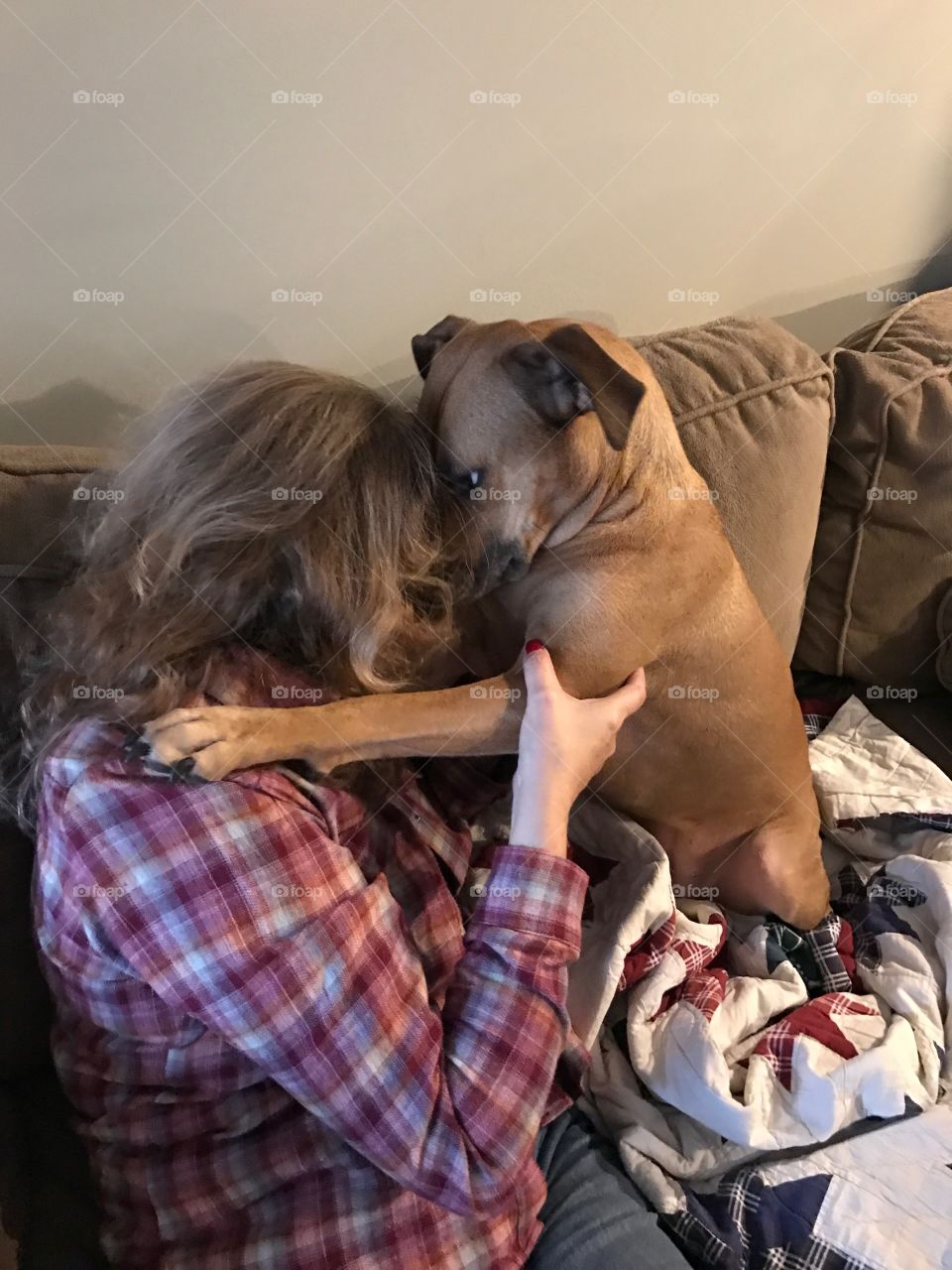 Couch wrestling with puppy