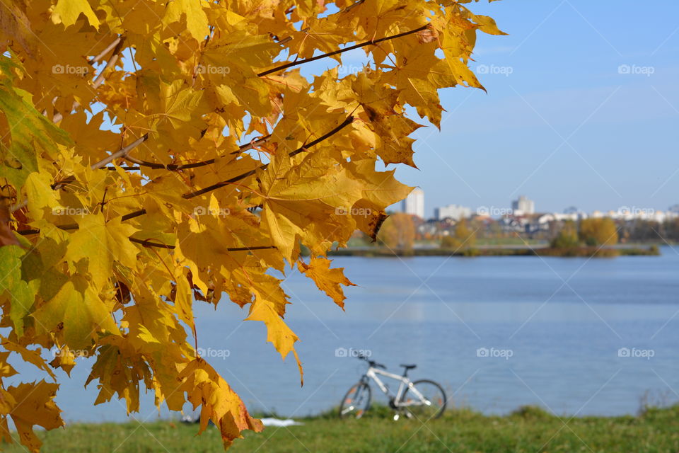 bike on a nature blue sky autumn leaves beautiful background