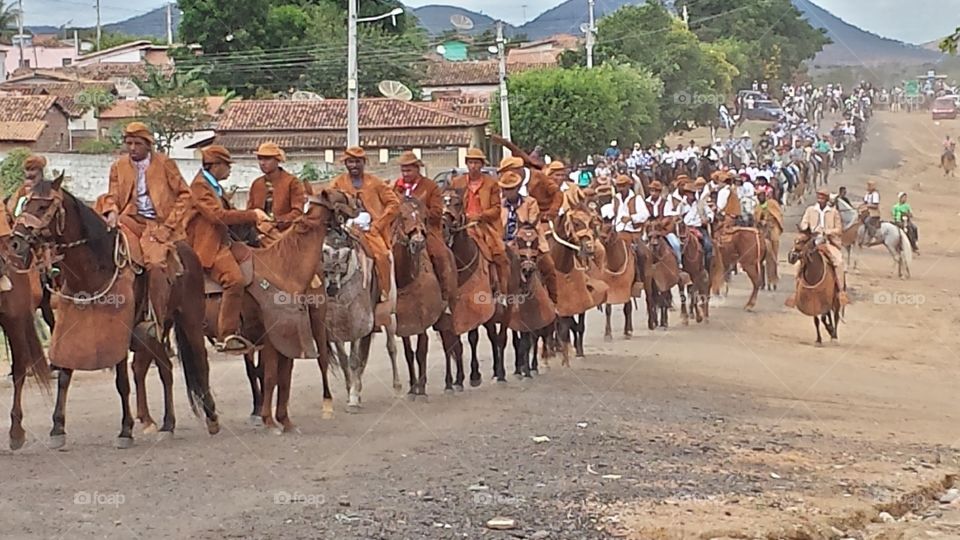People, Many, Group, Cavalry, Adult