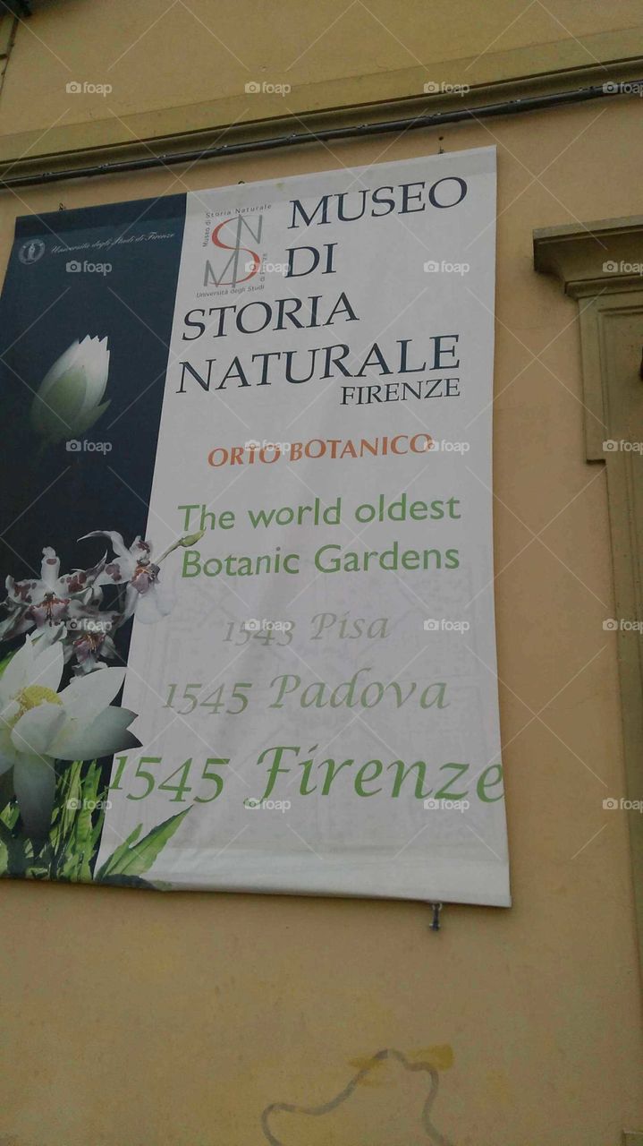 oldest botanical garden