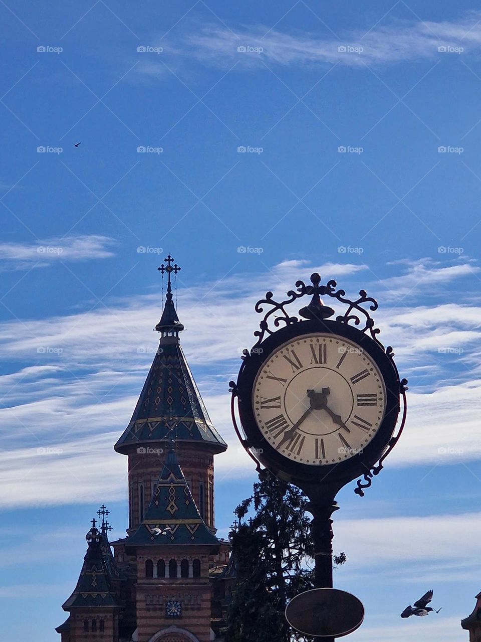 clock at Victoria Square in Timisoara