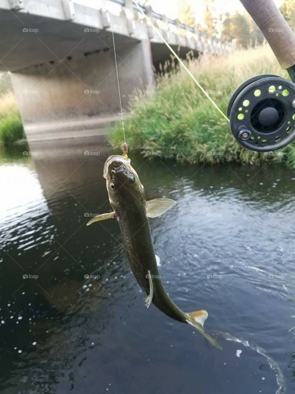 caught one