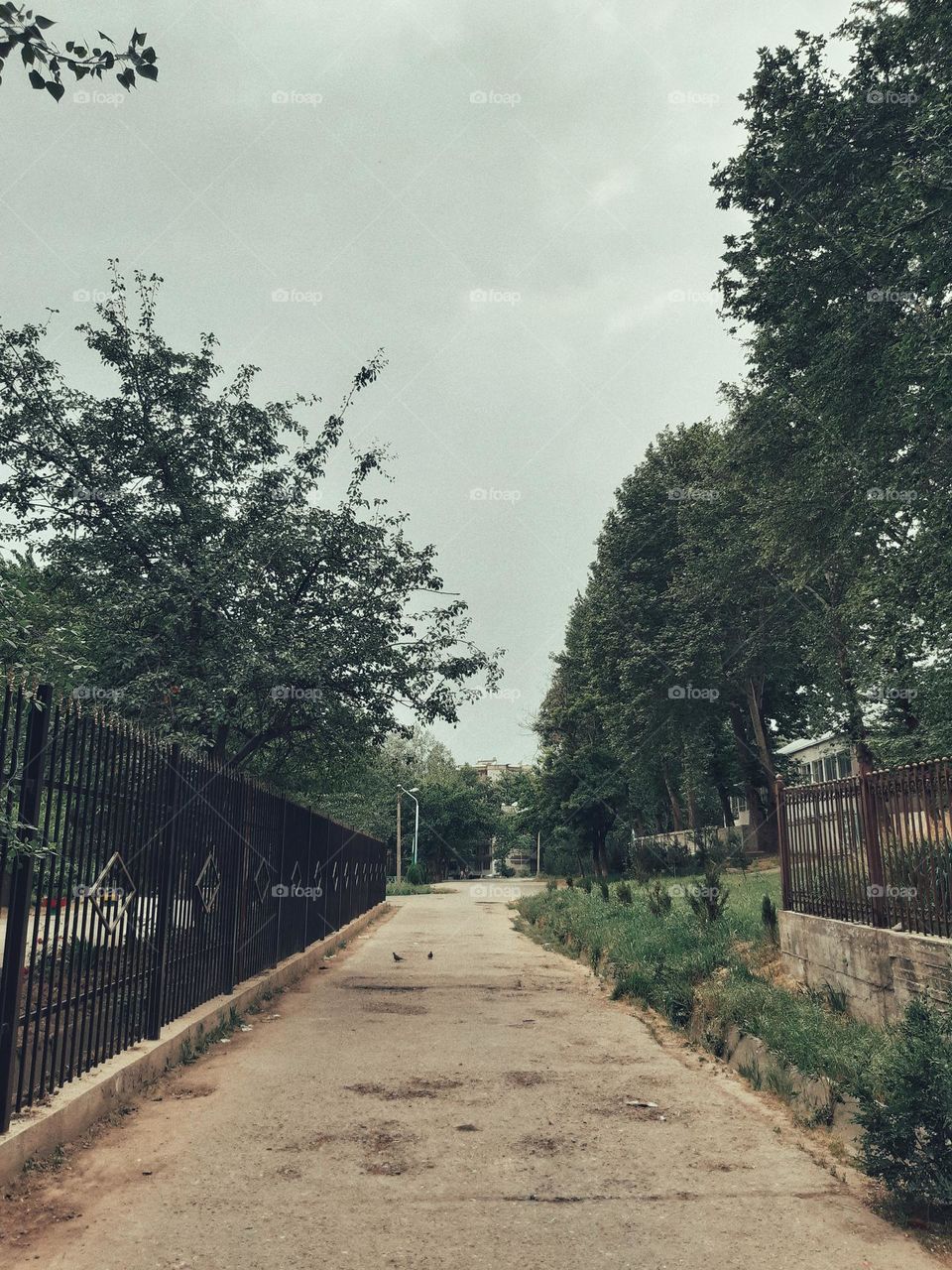 Just another winter evening