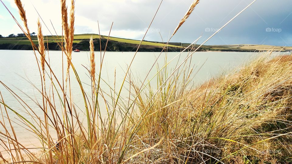 Seascape Heather view