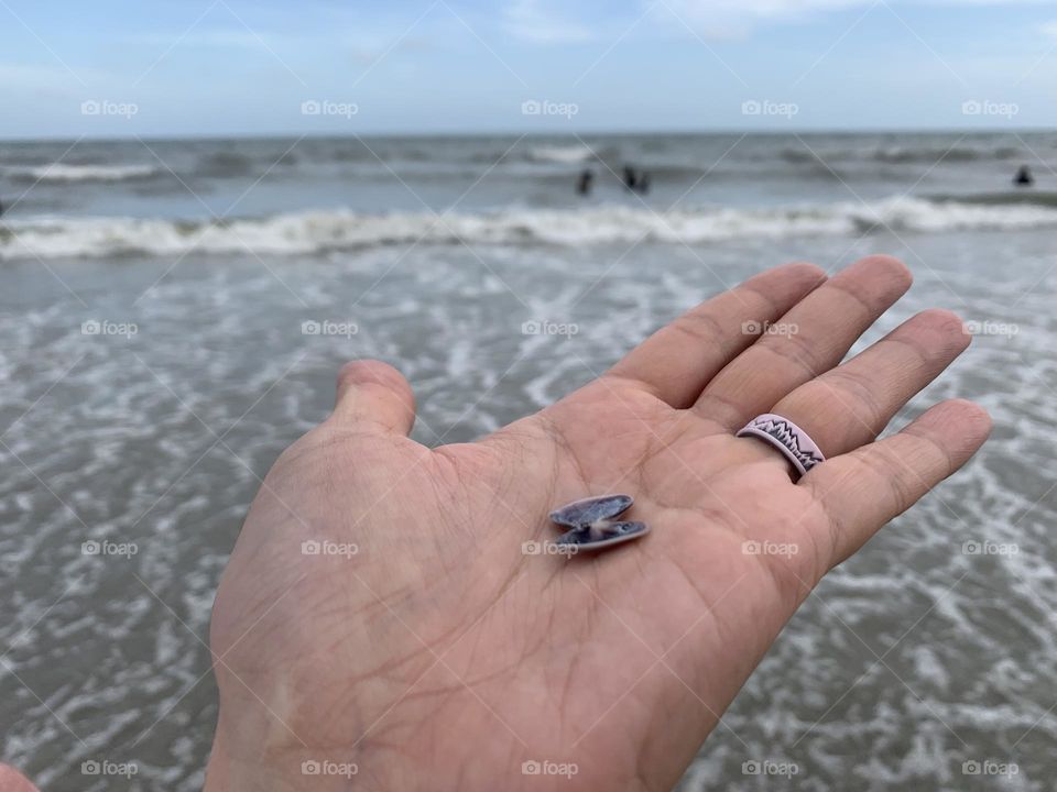 Finding shells in the beach